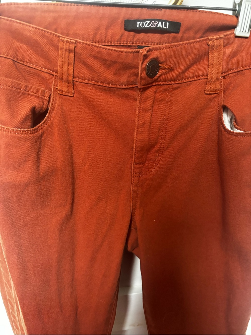 burnt orange/rust-colored pants by Roz & Ali,